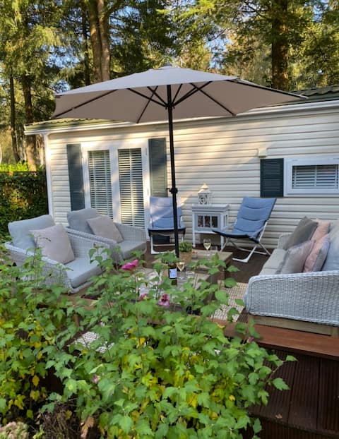 Luxury Chalet with beautiful terrace on the Veluwe