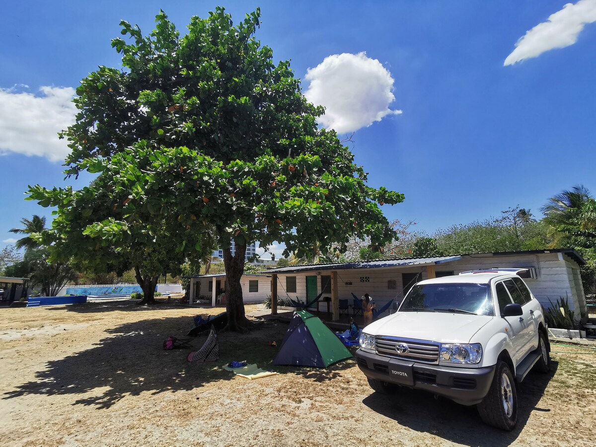 A spacious outdoor area is showcased with a large leafy almond tree providing shade. A white vehicle is parked nearby. In the background, multiple rustic cabins are visible, along with a glimpse of the beach and surrounding greenery.
