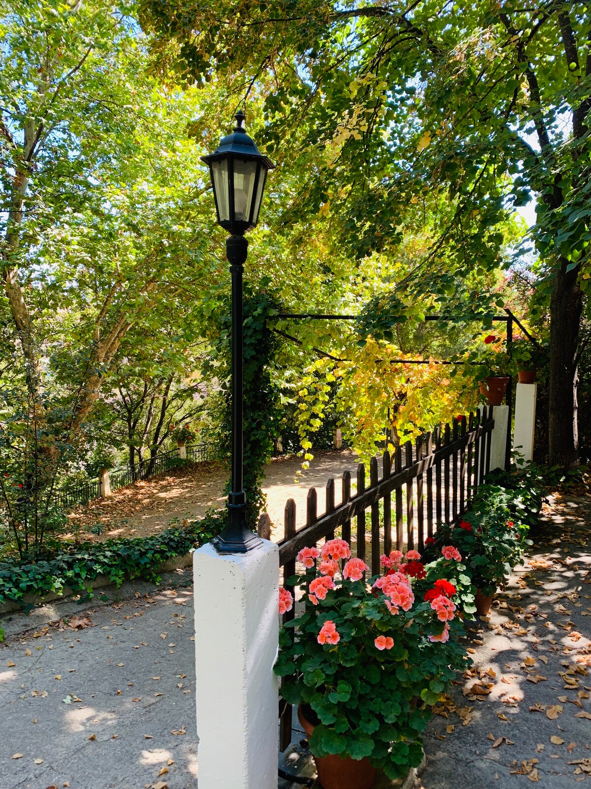 A charming garden pathway is lined with lush greenery and flowering plants. A vintage-style lamp post stands beside a white fence, and vibrant pink flowers are positioned in a pot at the base. Sunlight filters through the trees, creating a serene atmosphere.