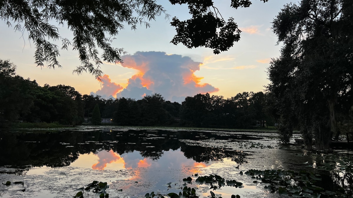 A serene lake scene captures the enchanting hues of a sunset reflected on the water's surface. Lush vegetation frames the lake, while the clouds are softly illuminated by shades of pink and orange, creating a calm and peaceful atmosphere.