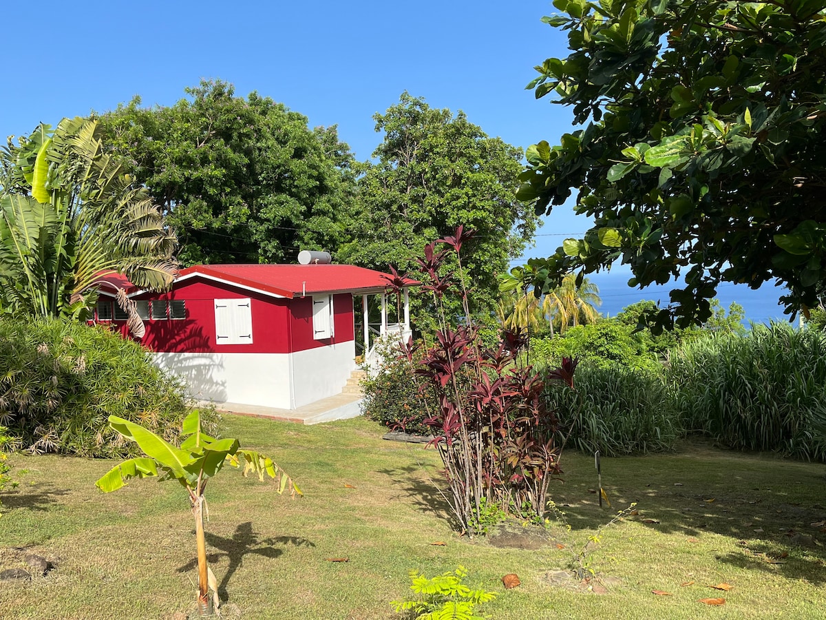 A vibrant bungalow is nestled within lush greenery, featuring a red exterior that stands out against the natural surroundings. The well-maintained garden presents a variety of tropical plants, leading toward the entrance of the home. A clear blue sky frames the scene.