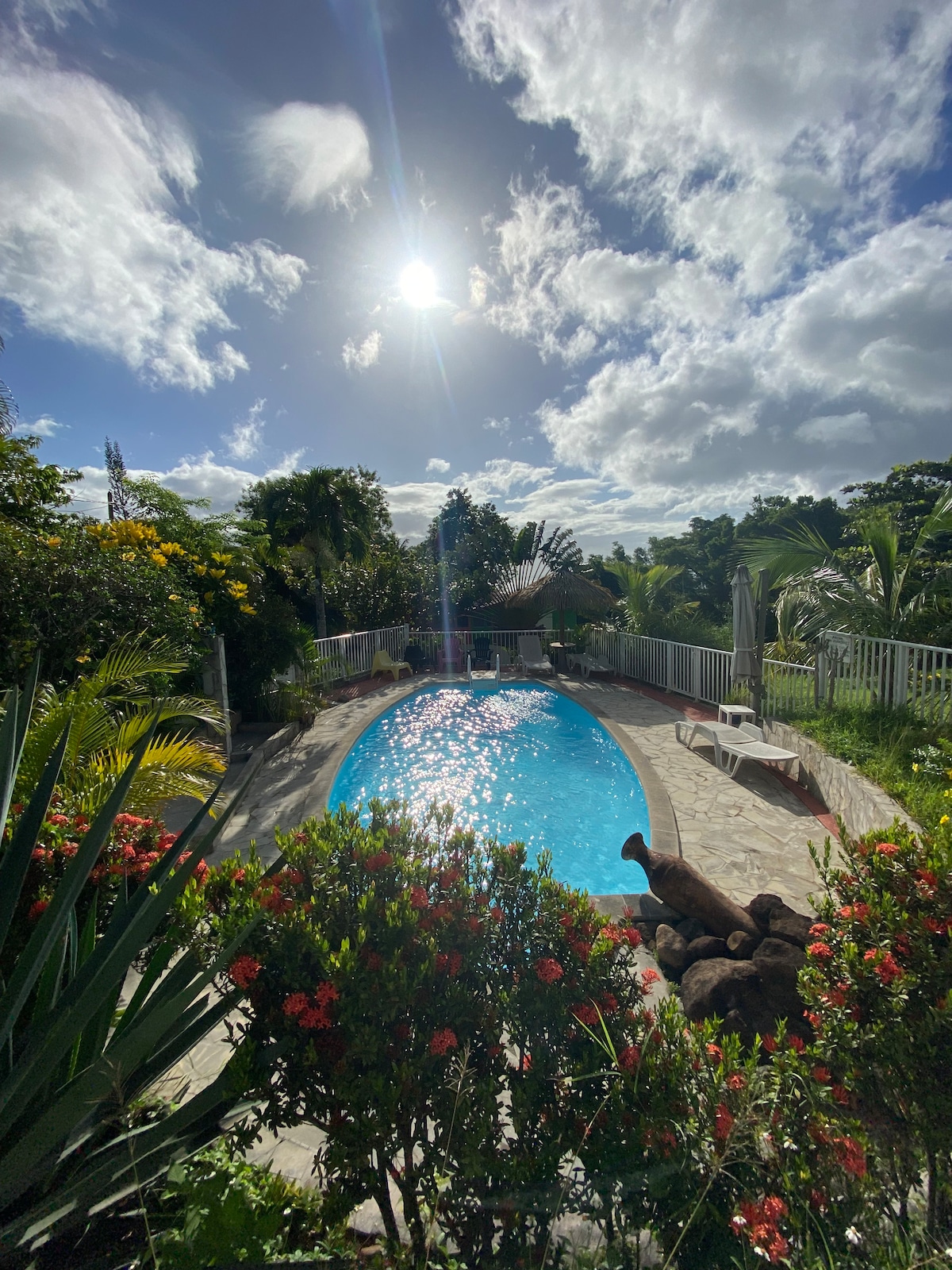 A serene swimming pool is surrounded by lush greenery and vibrant flowers. Sunlight reflects off the clear water, enhancing the tranquil atmosphere. Deck chairs are positioned nearby, providing a relaxing space to unwind. The backdrop features tropical plants and a clear blue sky.