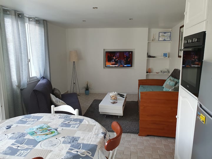 Katika chumba kimoja na jiko, sebule iliyo na kitanda kimoja cha sofa, kipeperushi cha watu 2 BZ na televisheni 