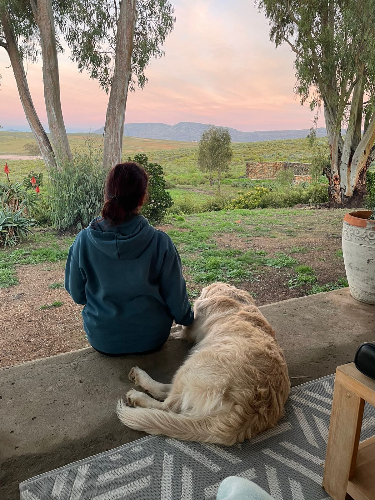 A person in a hoodie sits on a stone porch, accompanied by a golden retriever. The view features rolling green hills and a pastel-colored sky at sunset, with scattered trees and a gentle landscape stretching into the distance.