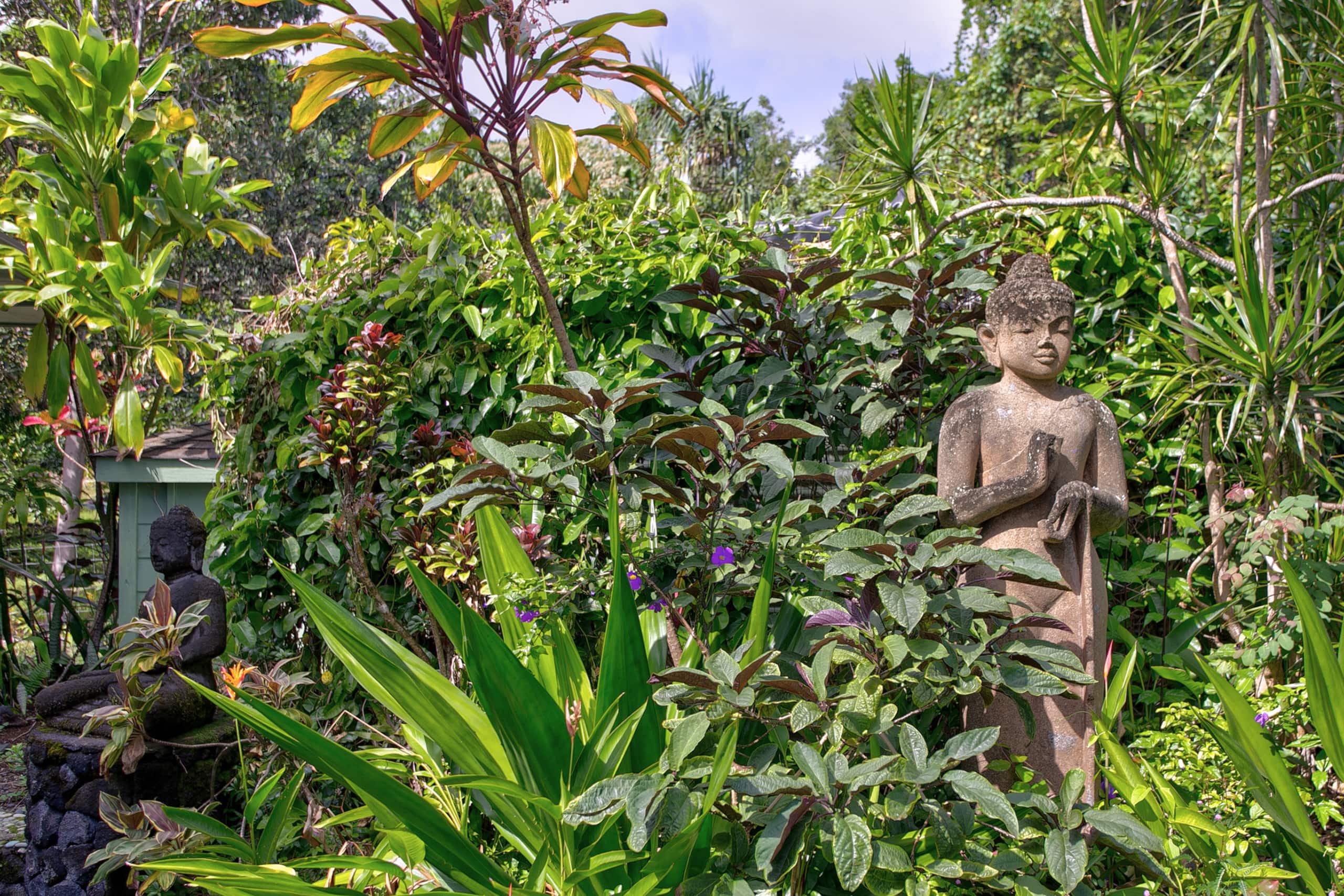Home in Pahoa · ★4.92 · 3 bedrooms · 6 beds · 4 private baths - Image 63