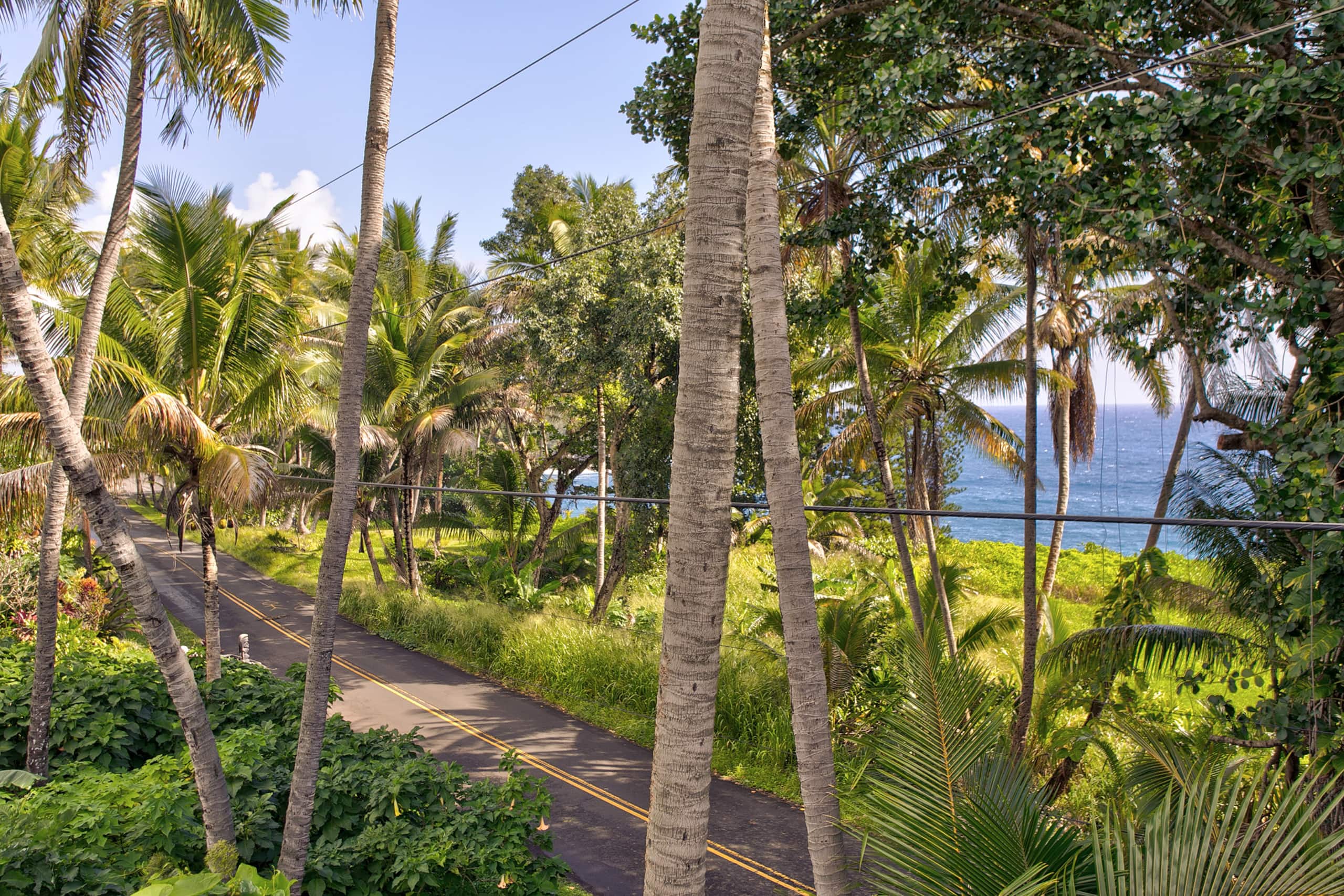 Home in Pahoa · ★4.92 · 3 bedrooms · 6 beds · 4 private baths - Image 28