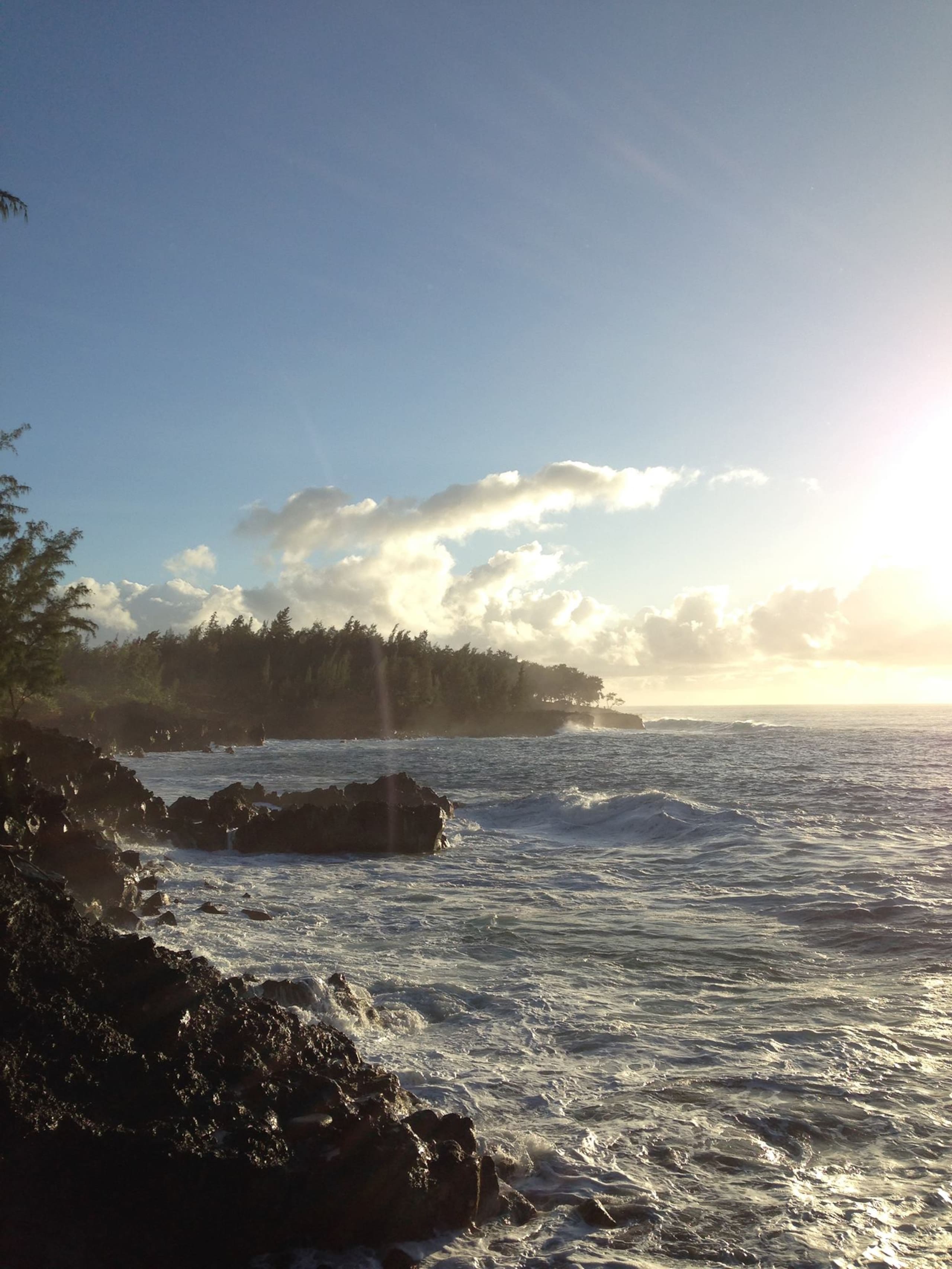 Home in Pahoa · ★4.92 · 3 bedrooms · 6 beds · 4 private baths - Image 18