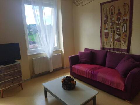 Elegant, quiet 2* 3 bedroom between hospital, Lycée GR65