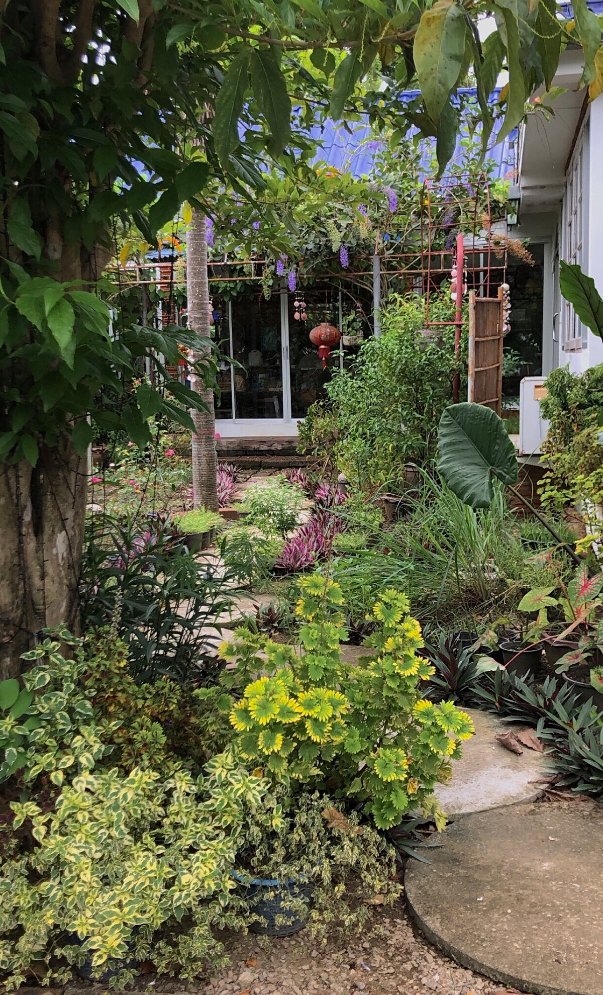 A lush garden pathway is lined with vibrant greenery, including various plants and flowers. The pathway leads to a modern glass structure, partially obscured by foliage. Brightly colored plants provide a natural border, creating a serene environment that invites exploration.