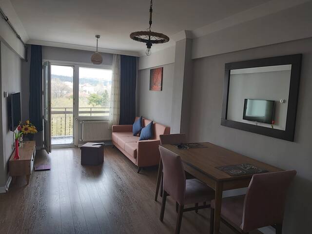 Lovely 2-bedroom w/balcony in Kadikoy gallery image 2