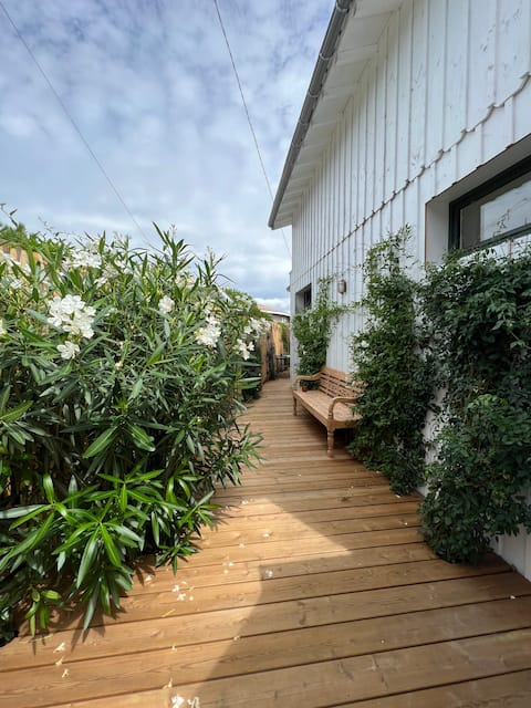 Successful Airbnb property: Rent small house cabin style 50 m beach 4 people in Lège Cap Ferret