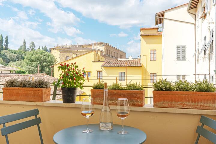Luxury 33 w terrace views of Pitti , City center