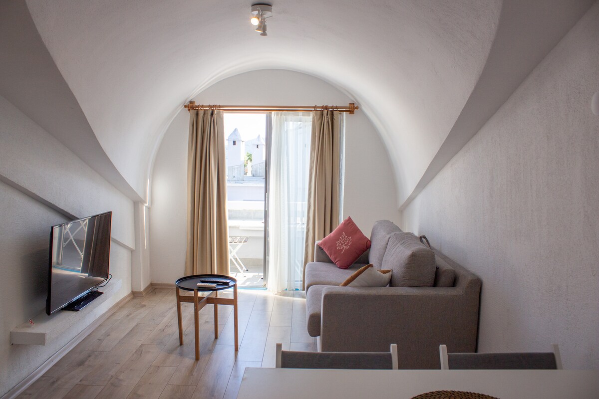 The living area features an arched ceiling, creating a spacious feel. A comfortable gray sofa is paired with a small round table, and a wall-mounted television is visible. Natural light enters through sliding glass doors, which lead to a balcony area.