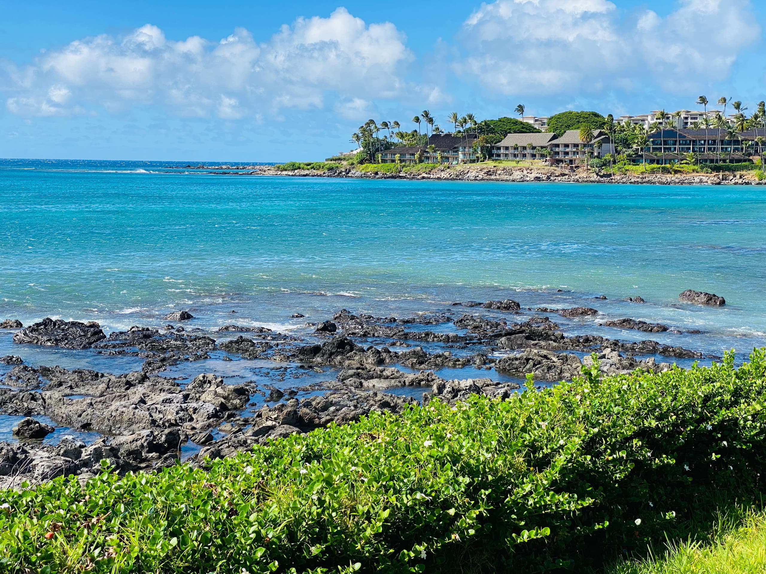 Condo in Lahaina · ★4.9 · Studio · 2 beds · 1 bath - Image 30