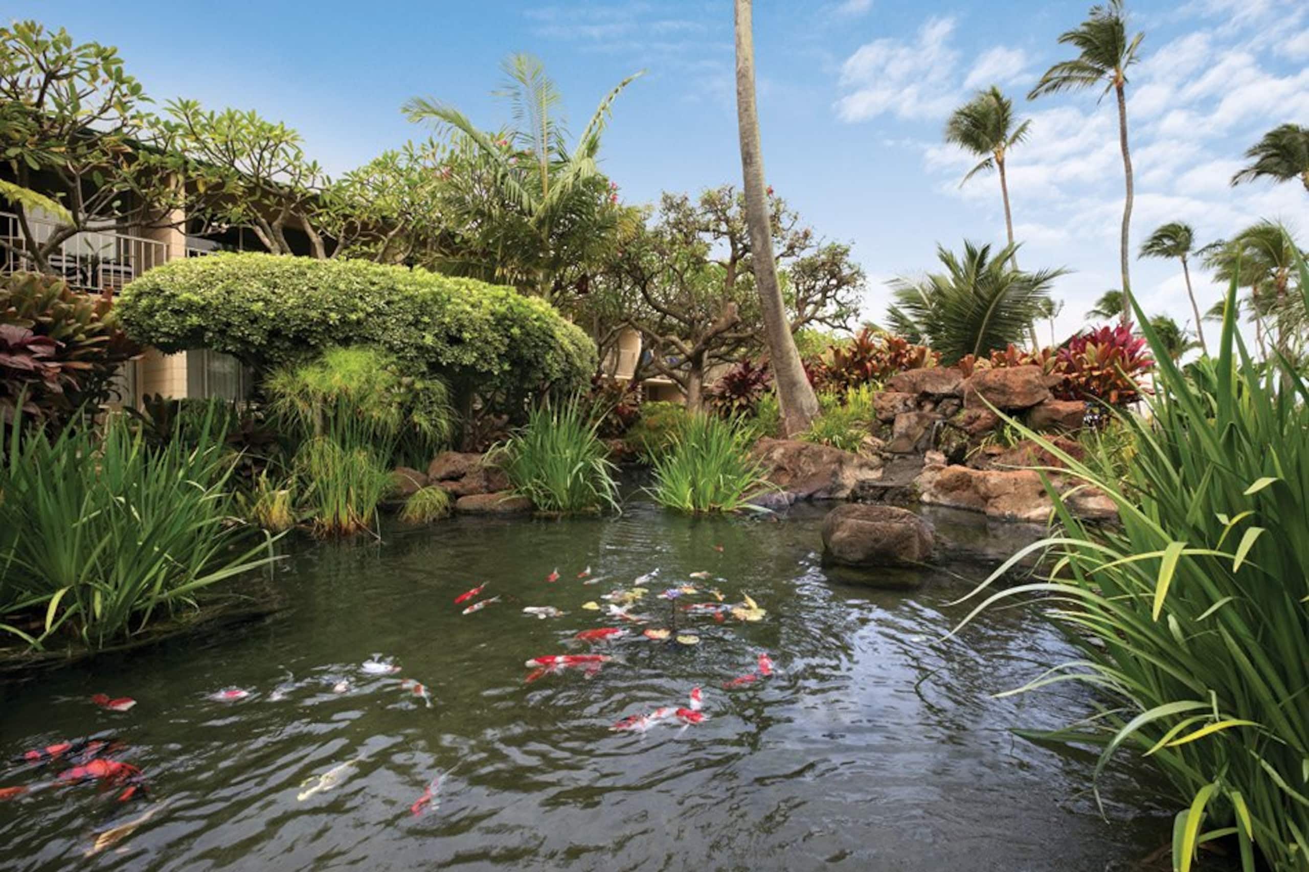 Condo in Lahaina · ★4.9 · Studio · 2 beds · 1 bath - Image 20