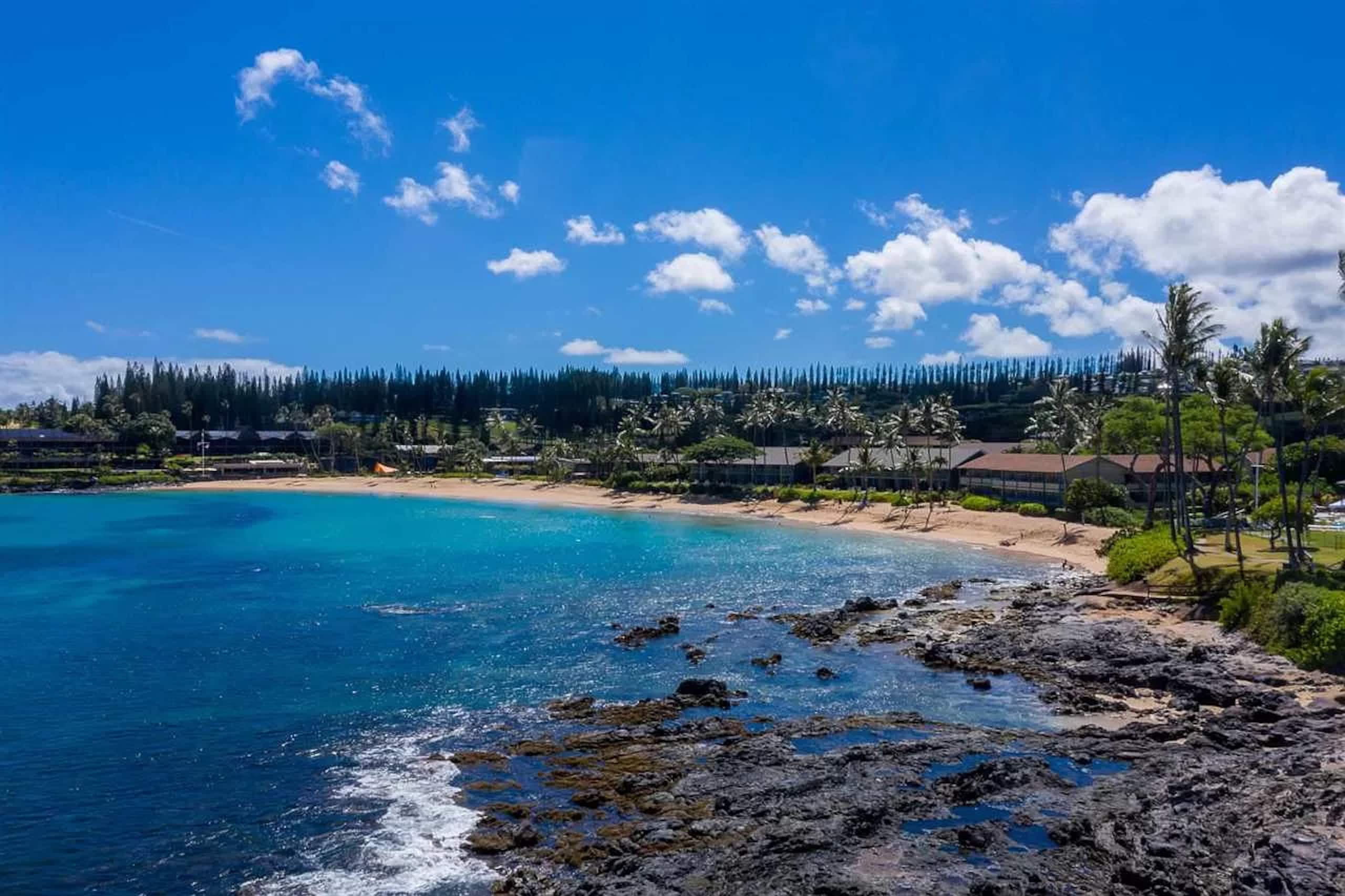 Condo in Lahaina · ★4.9 · Studio · 2 beds · 1 bath - Image 36