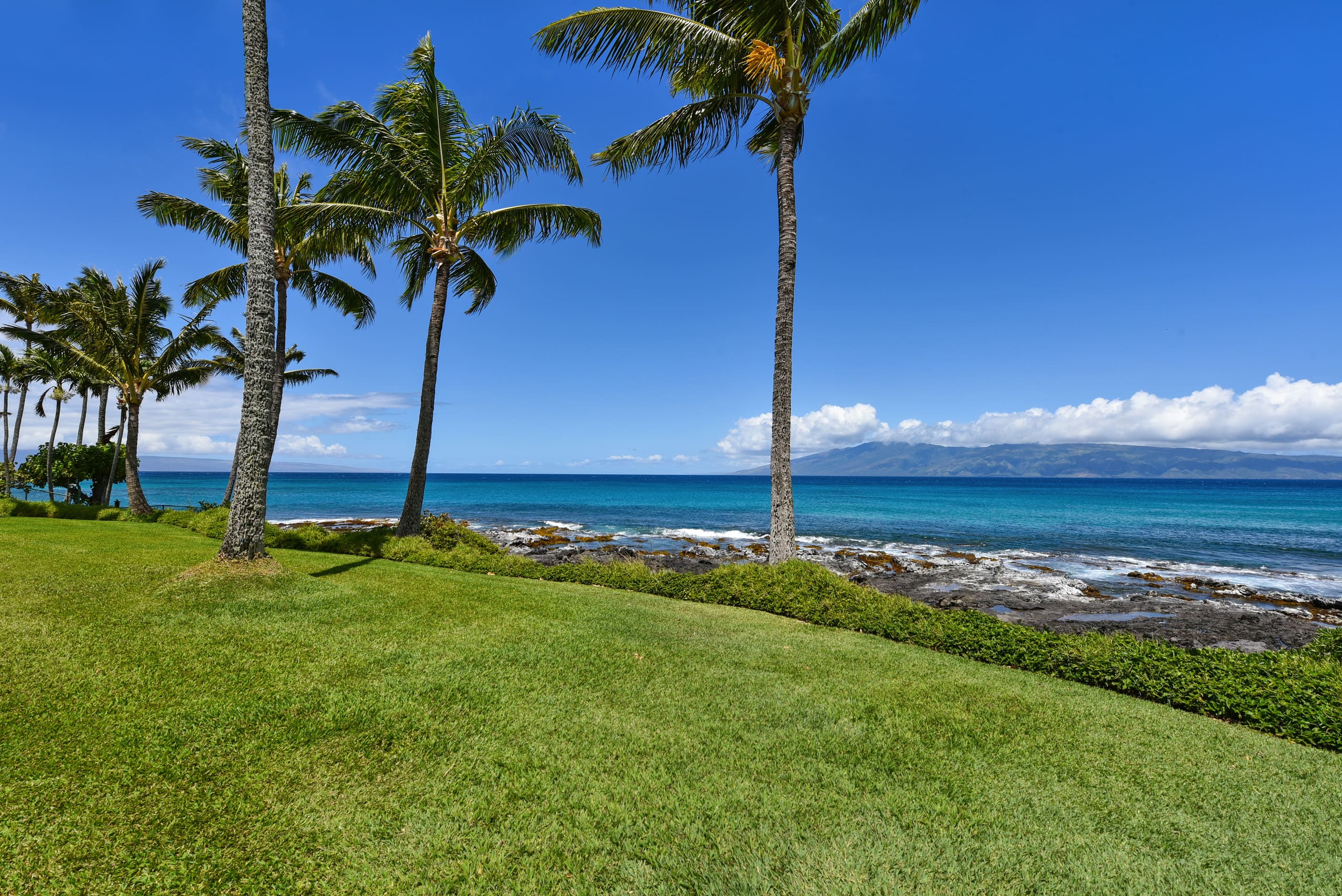 Condo in Lahaina · ★4.9 · Studio · 2 beds · 1 bath - Image 31