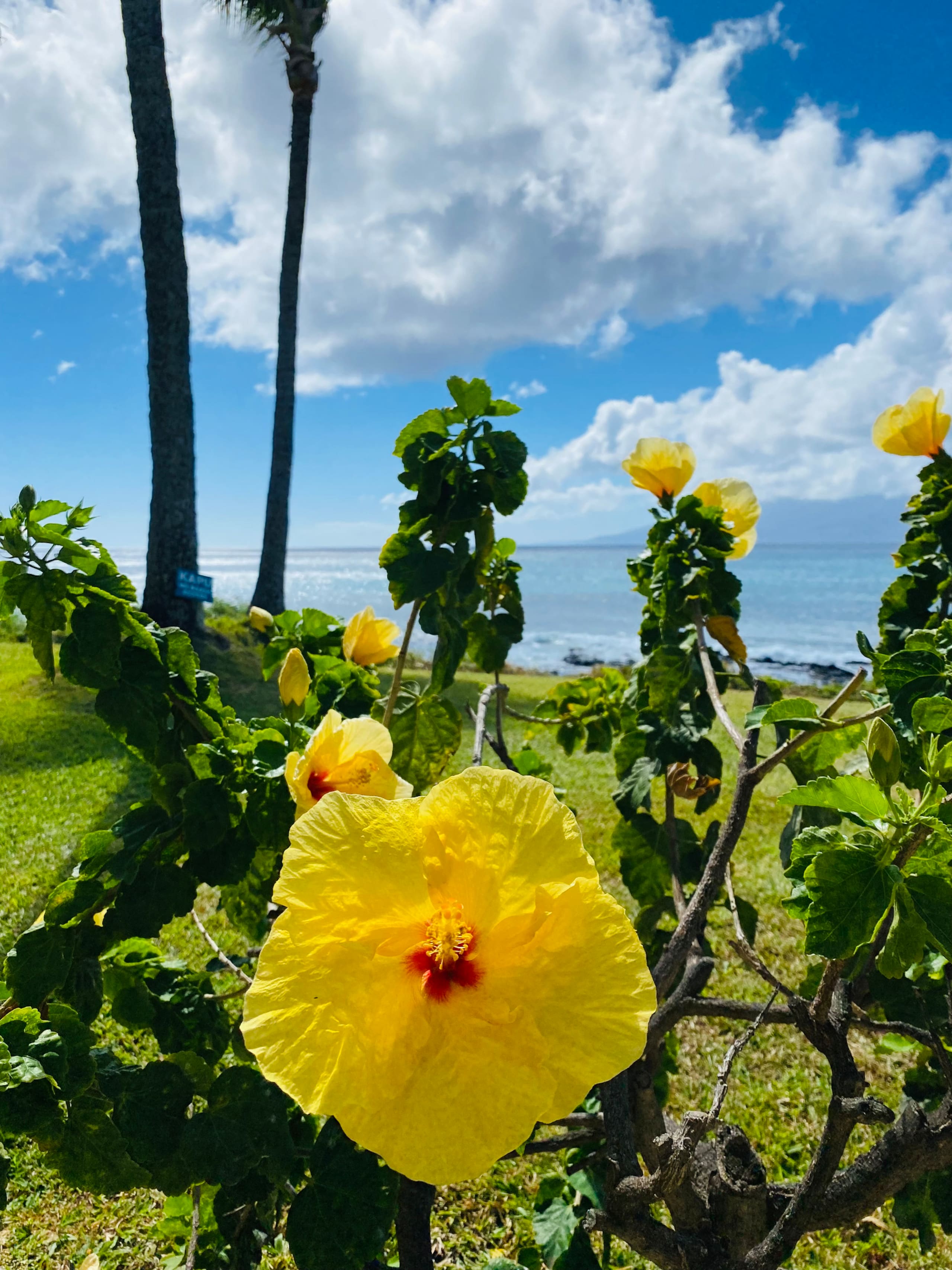 Condo in Lahaina · ★4.9 · Studio · 2 beds · 1 bath - Image 32
