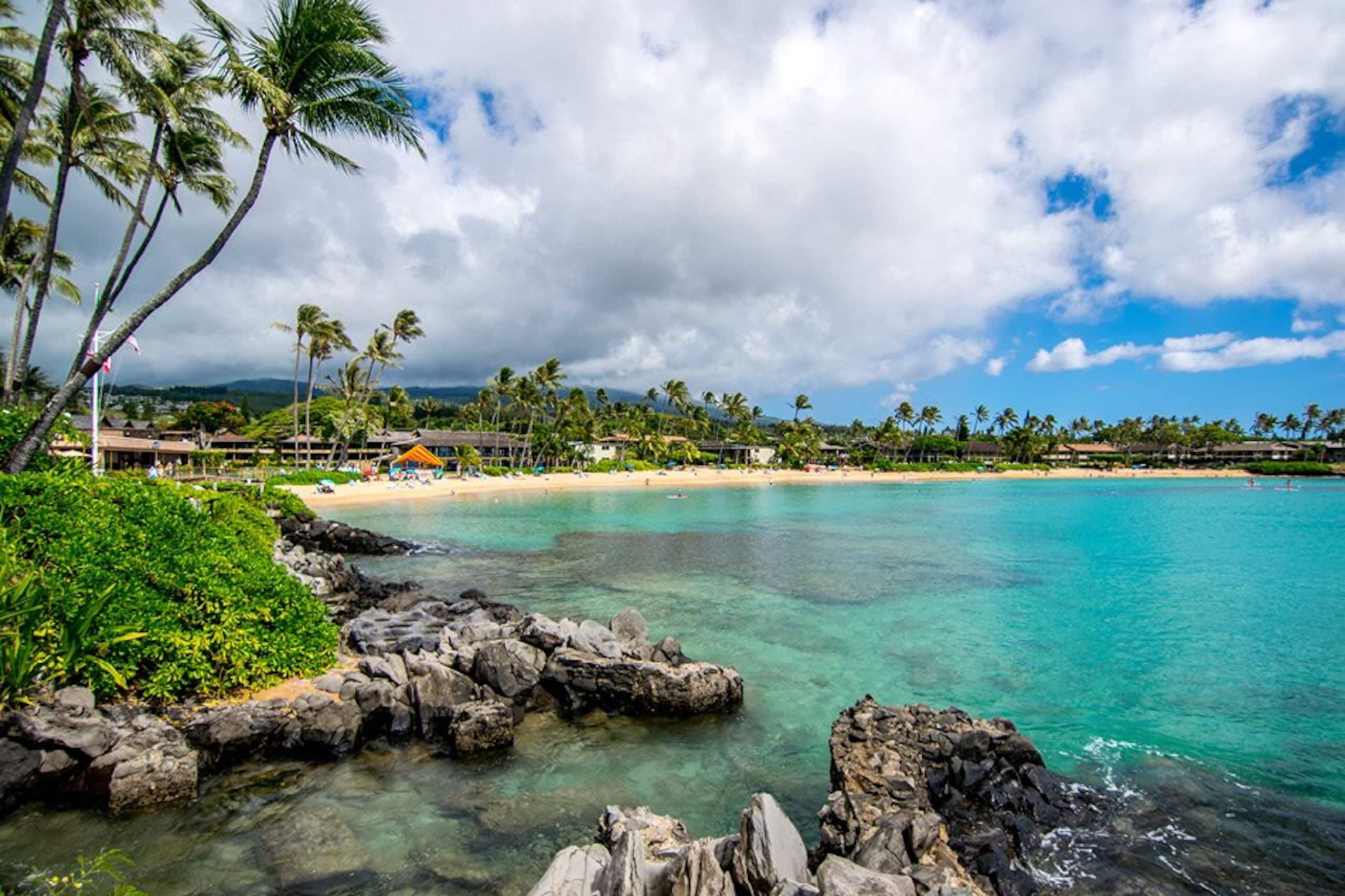 Condo in Lahaina · ★4.9 · Studio · 2 beds · 1 bath - Image 34