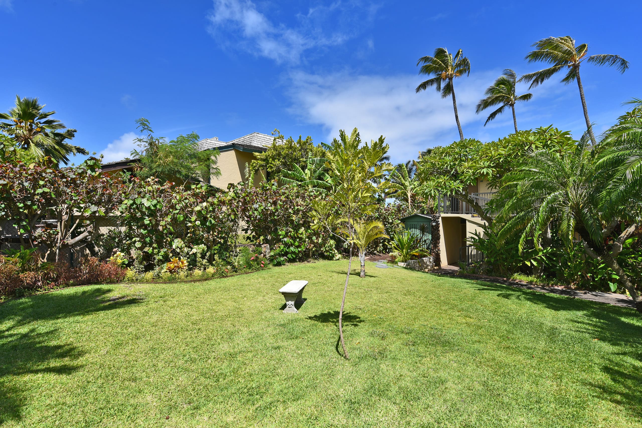 Condo in Lahaina · ★4.9 · Studio · 2 beds · 1 bath - Image 14