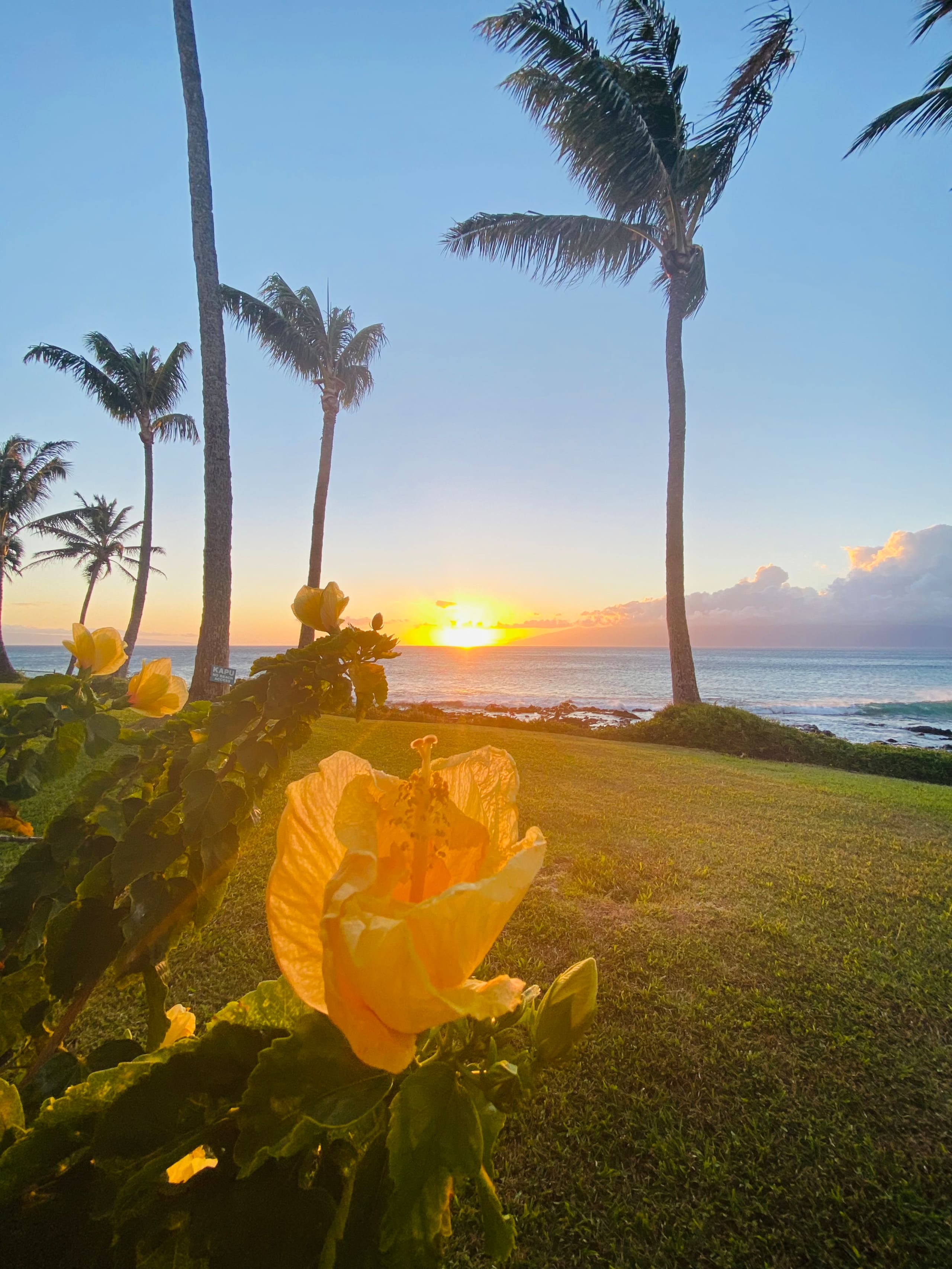 Condo in Lahaina · ★4.9 · Studio · 2 beds · 1 bath - Image 28
