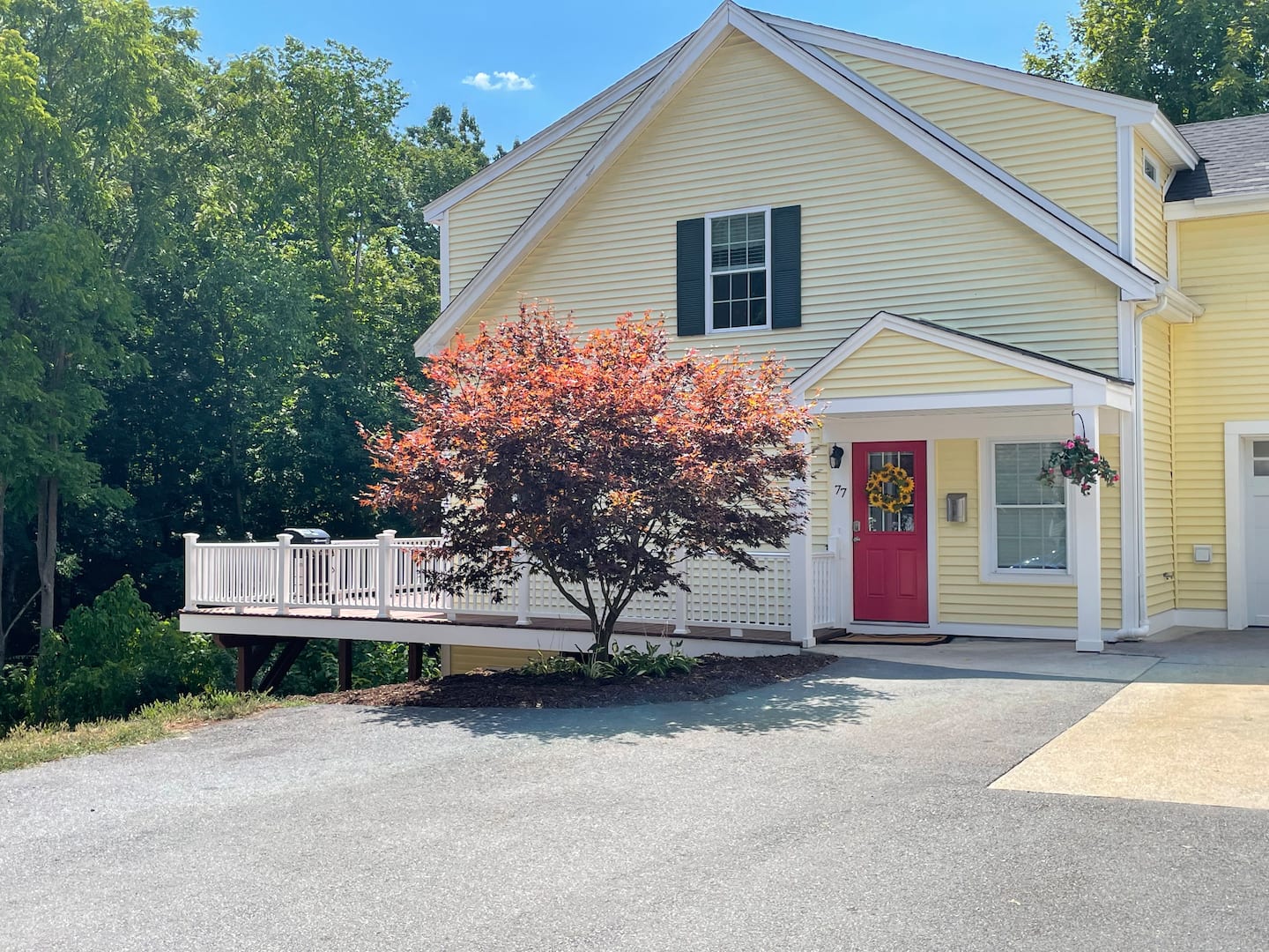 Newly renovated, spacious, clean, home