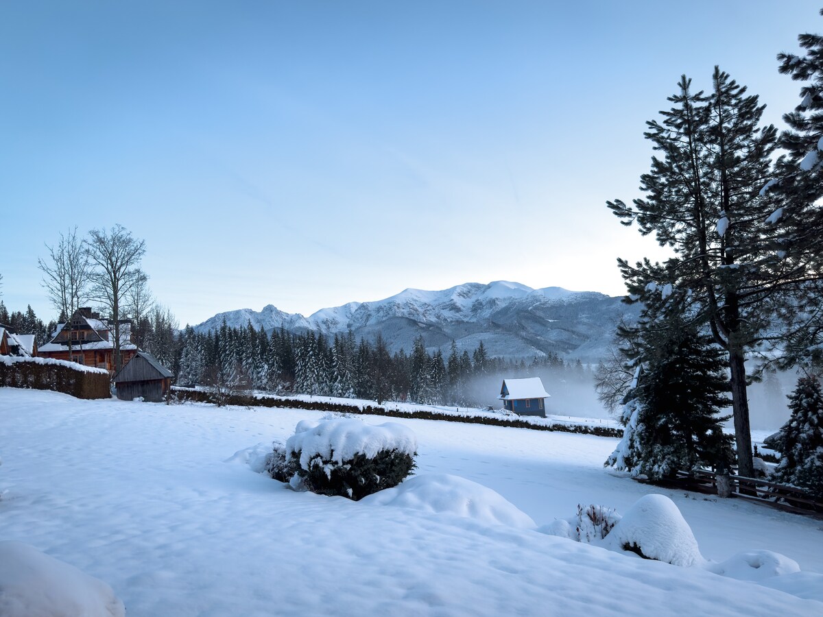 A serene winter landscape is depicted, featuring a blanket of snow covering the ground. Majestic mountains rise in the background, partially shrouded in mist. Pine trees frame the scene, and quaint structures can be seen dotting the snowy expanse.