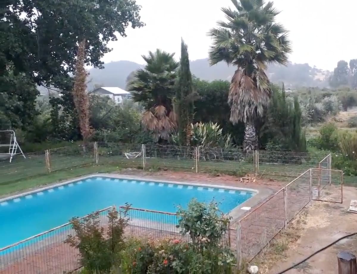 A serene outdoor area features a fenced swimming pool surrounded by green grass. Tall palm trees and other foliage create a natural backdrop, adding to the tranquil atmosphere. A swing set is visible in the distance, completing the peaceful setting.