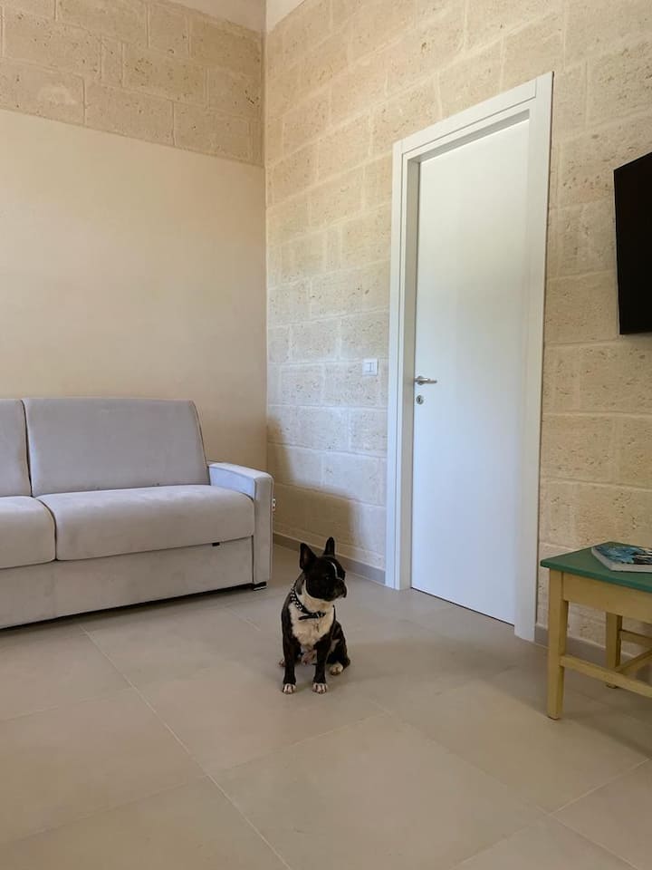La Casa Del Mandorlo - Campomarino