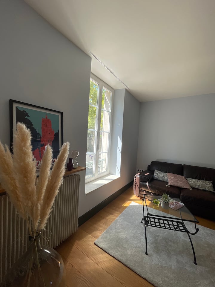 Charmant 3 Pièces Au Coeur De Rodez - Rodez