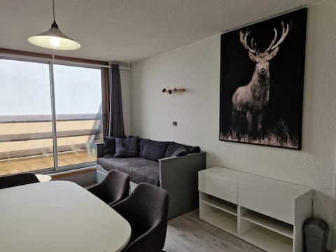 cozy apartment at the foot of the Piau Engaly slopes