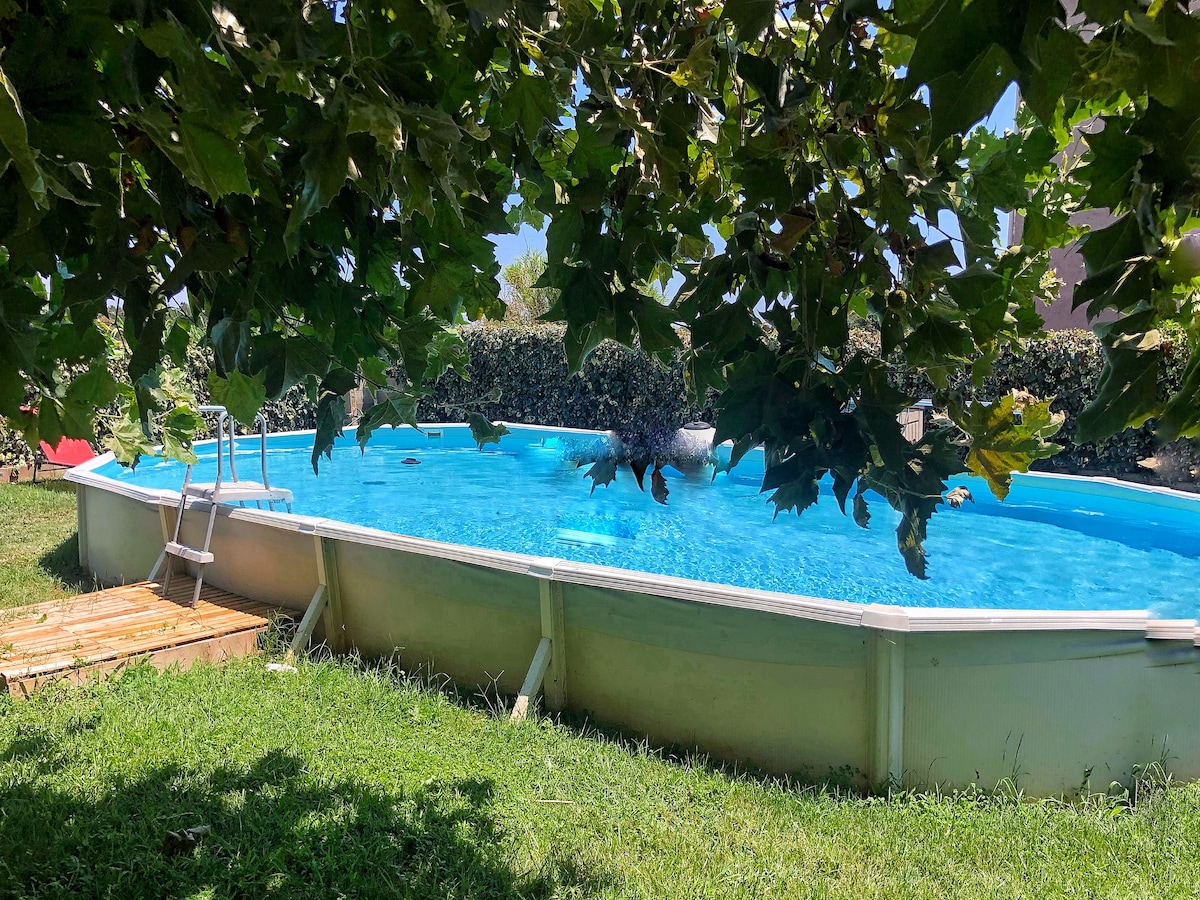 A circular above-ground pool is surrounded by green grass and shaded by large leafy trees. The clear blue water reflects sunlight, and a wooden deck is visible next to the pool, providing a space for relaxation.
