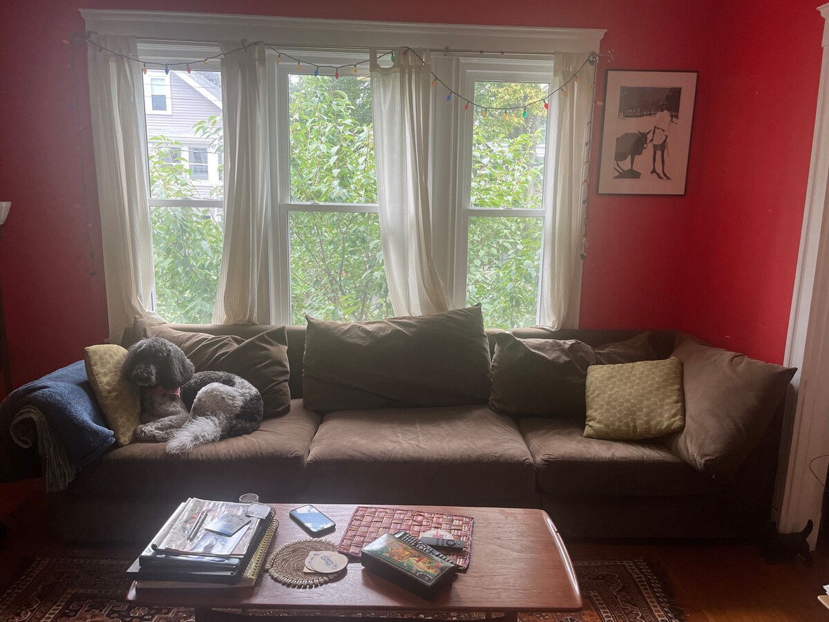 ห้องนั่งเล่นสุนัขอาจจะไปกับคุณบนโซฟา