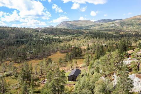 Modern cabin in a very undisturbed location