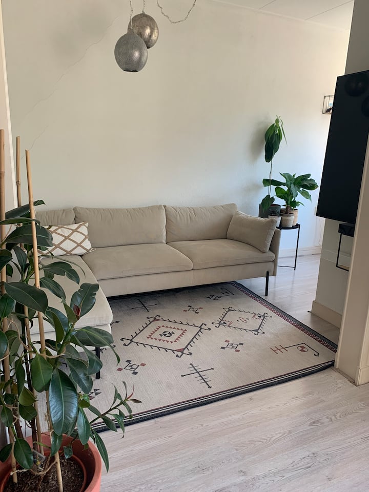 Lovely 1bedroom apartment in Amsterdam West Apartments for Rent in