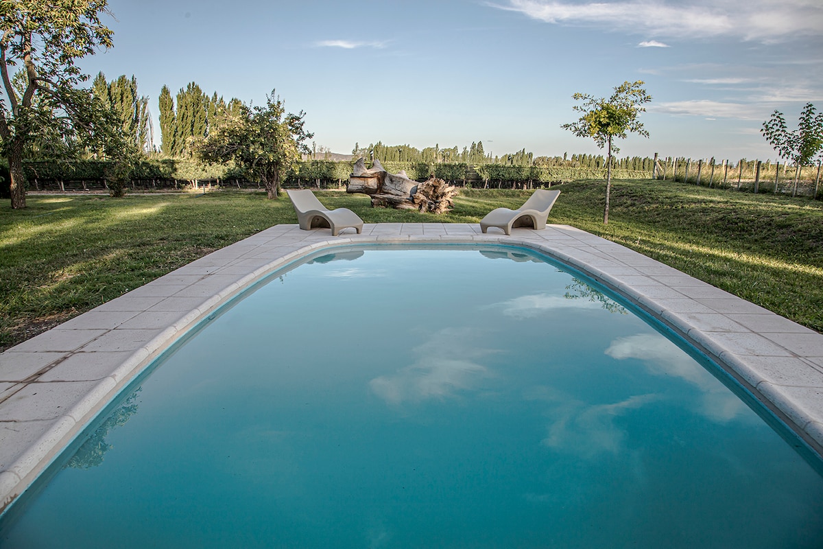 A serene outdoor area features a sparkling swimming pool surrounded by lush green grass. Two lounge chairs are positioned nearby, offering a view of the adjacent vineyards and trees under a clear sky.