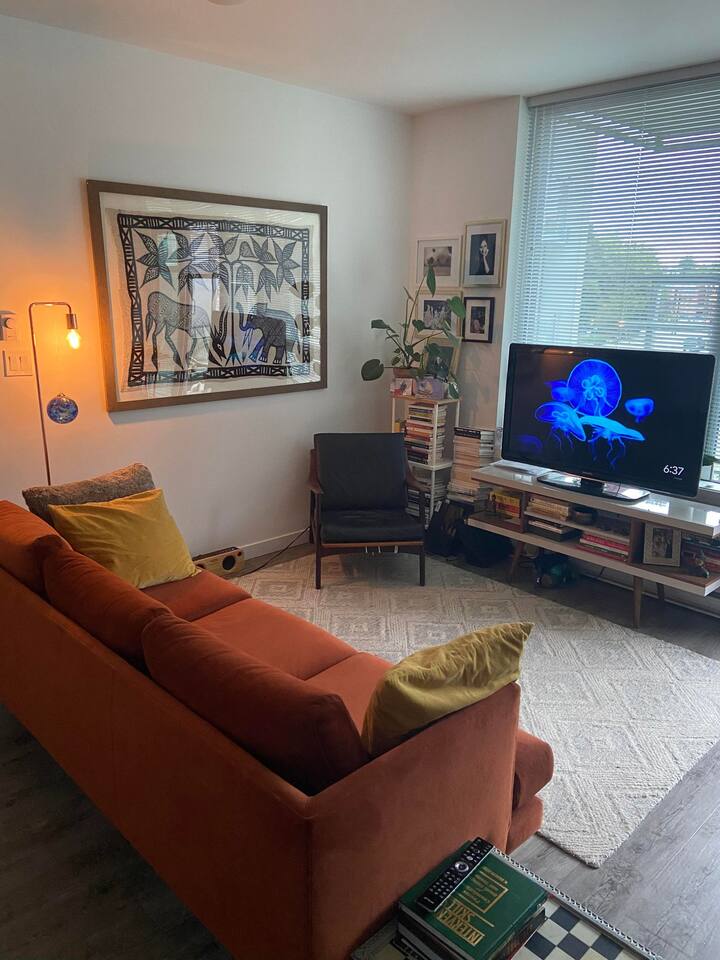 Lovely one bedroom near science world Apartments for Rent in