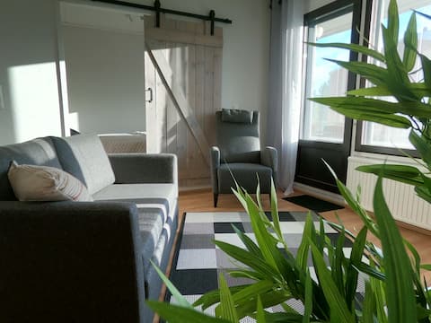 Spacious and bright apartment on the edge of the core