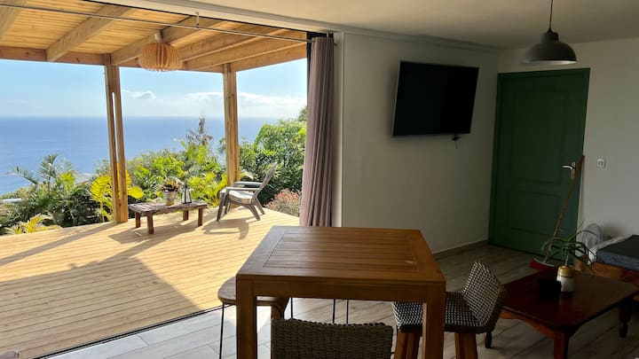 F2 Saint Leu / panoramic ocean view.