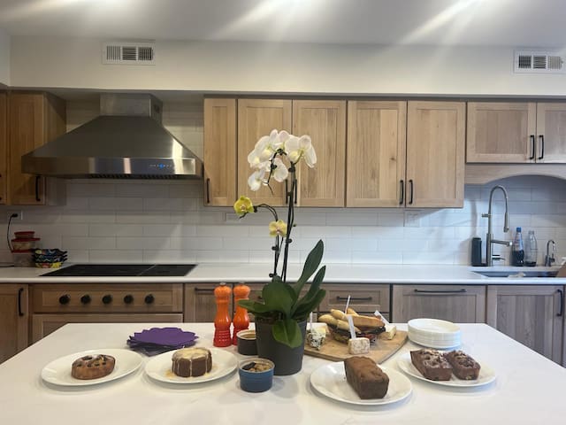 Sun Filled 3-story Lincoln Park Oasis w/parking