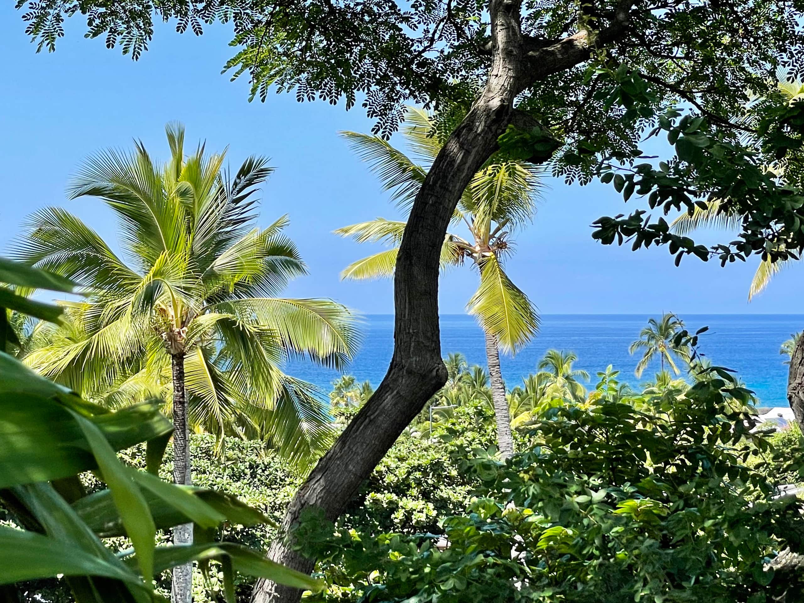 Condo in Kailua-Kona · ★4.68 · 1 bedroom · 1 bed · 1 private bath - Image 25