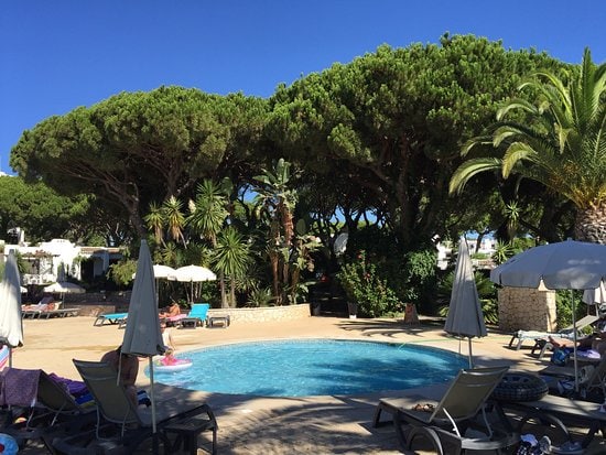 A serene swimming pool is surrounded by lush greenery and tall pine trees, providing shade and a natural ambiance. Lounge chairs are arranged around the pool's edge, while umbrellas offer additional sun protection. Bright blue skies complete the tranquil setting.