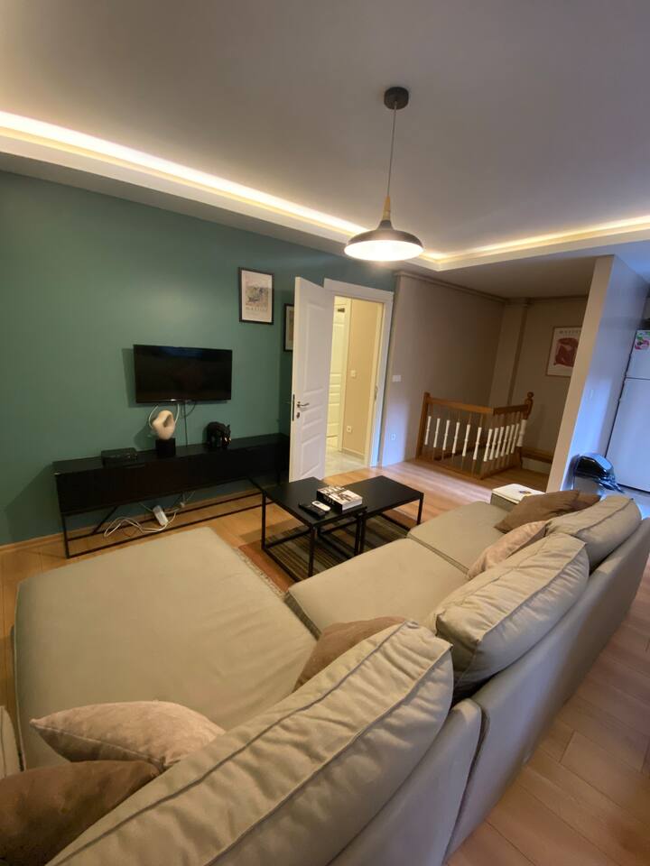 Designed 2BR Duplex Apt. in Cihangir Apartments for Rent in Beyoğlu