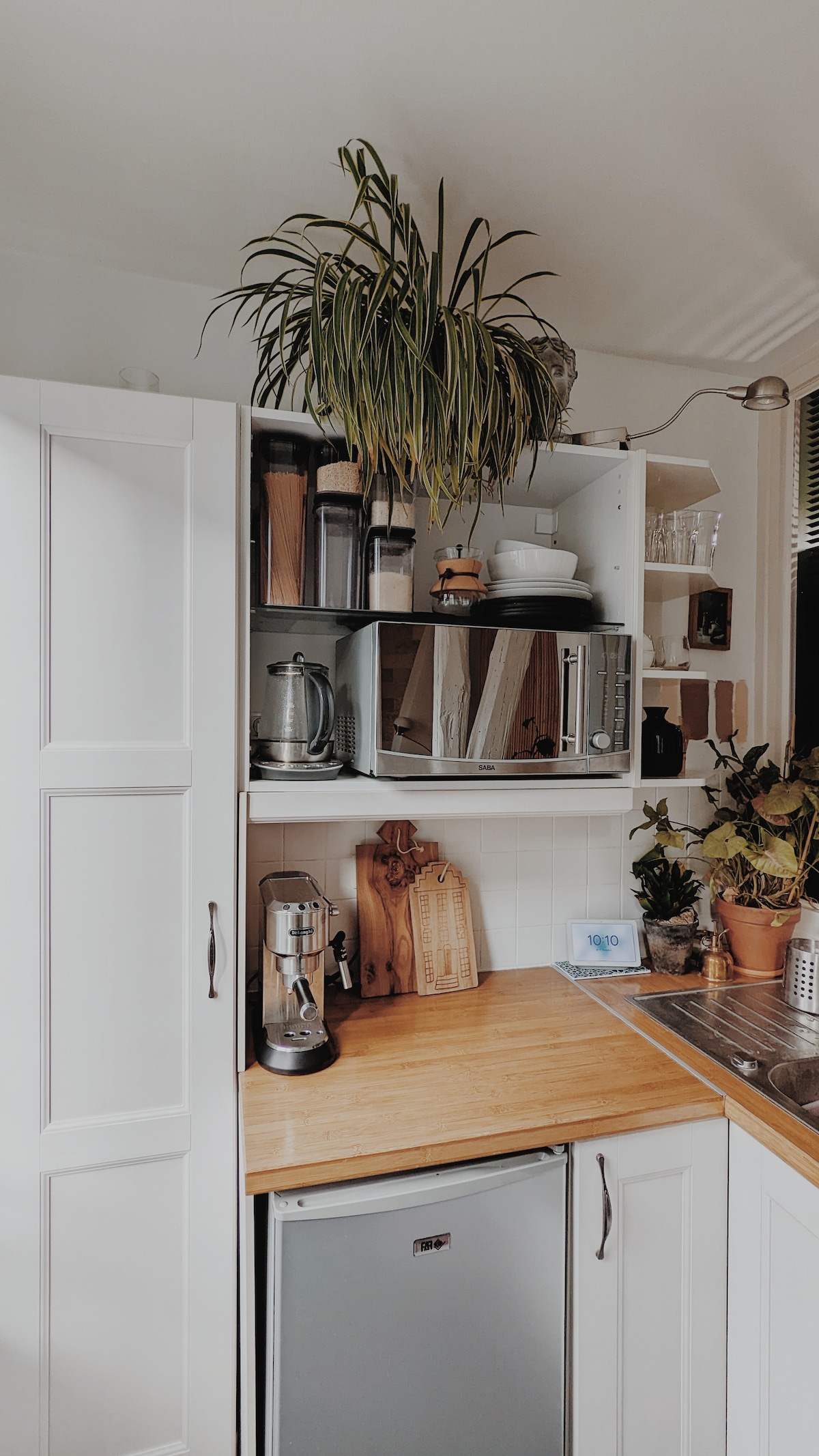 A compact kitchen area is highlighted by a wooden countertop and a small refrigerator. A blender sits beside a stack of kitchenware, while various houseplants add greenery to the shelves. Clean, white cabinetry complements the functional design.