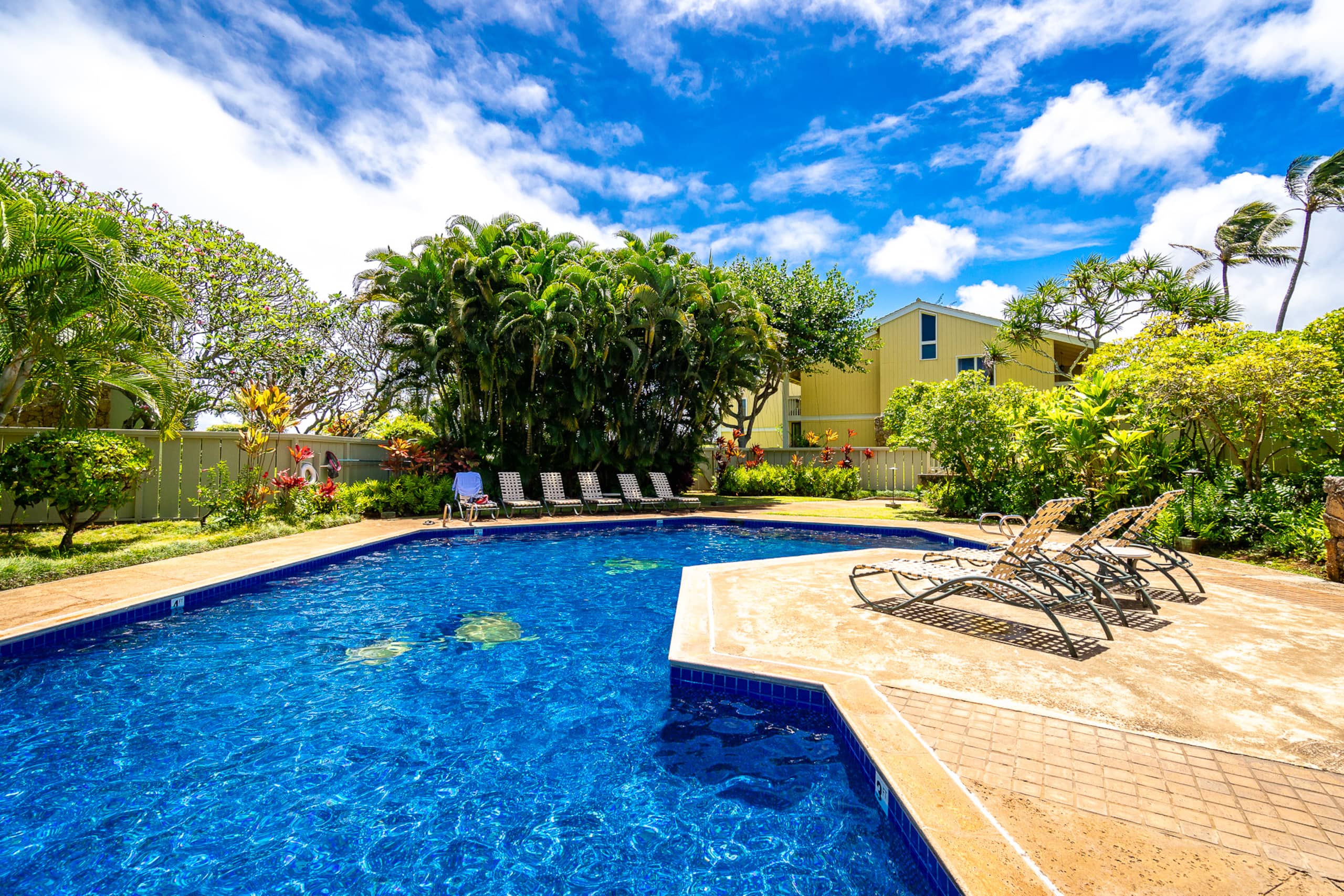 Condo in Kahuku · ★4.9 · 1 bedroom · 3 beds · 1 private bath - Image 7