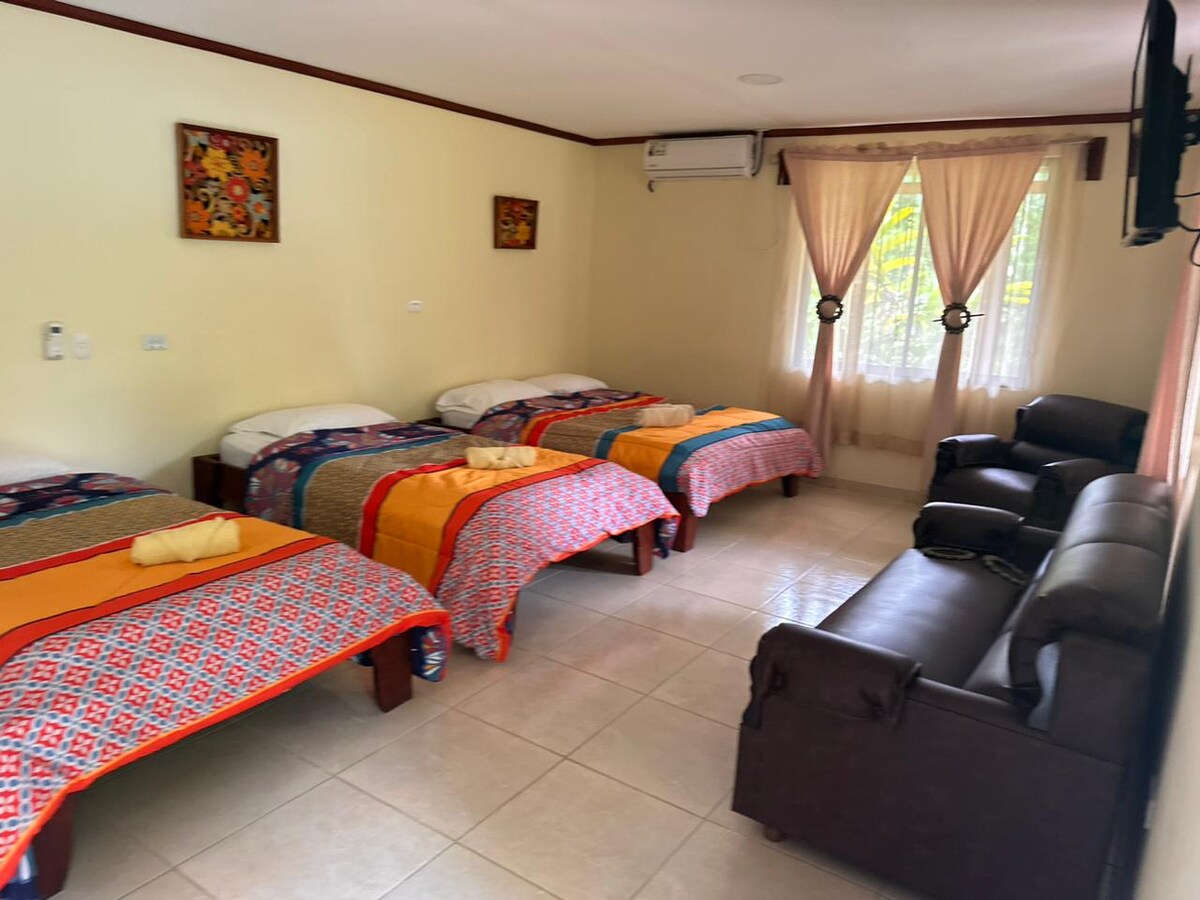 A spacious room features multiple beds covered in colorful bedding. Light enters through large windows adorned with flowing curtains. A comfortable seating area with a dark sofa is positioned nearby, creating a welcoming environment for relaxation.