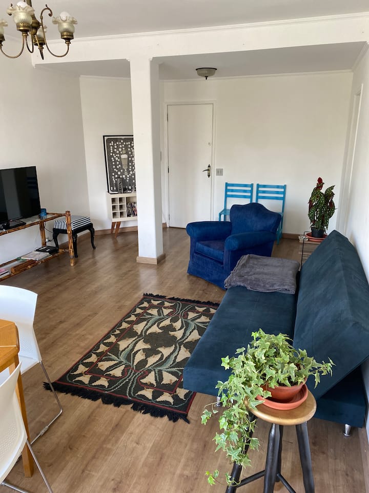 Apartamento 110m2, Próximo A Paulista E Hospitais - São Paulo