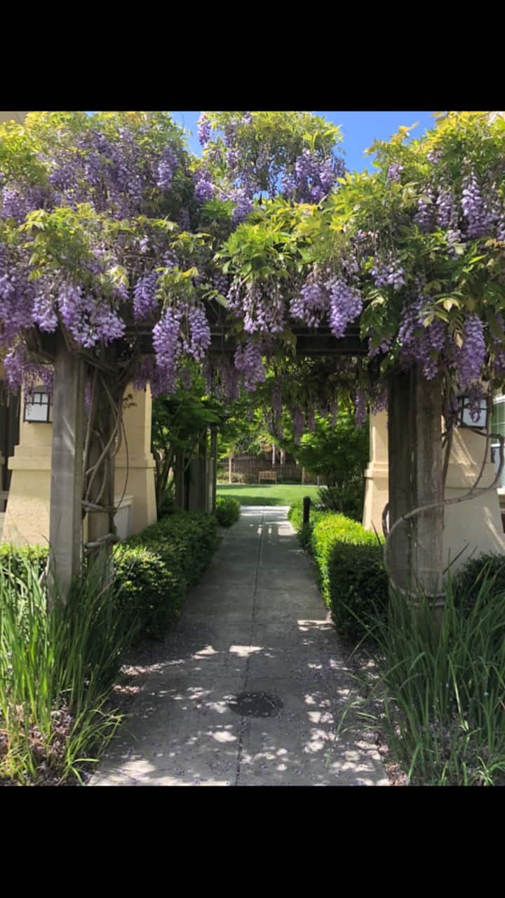 Cotati Charm (Bedroom with private full bathroom) Townhouses for Rent