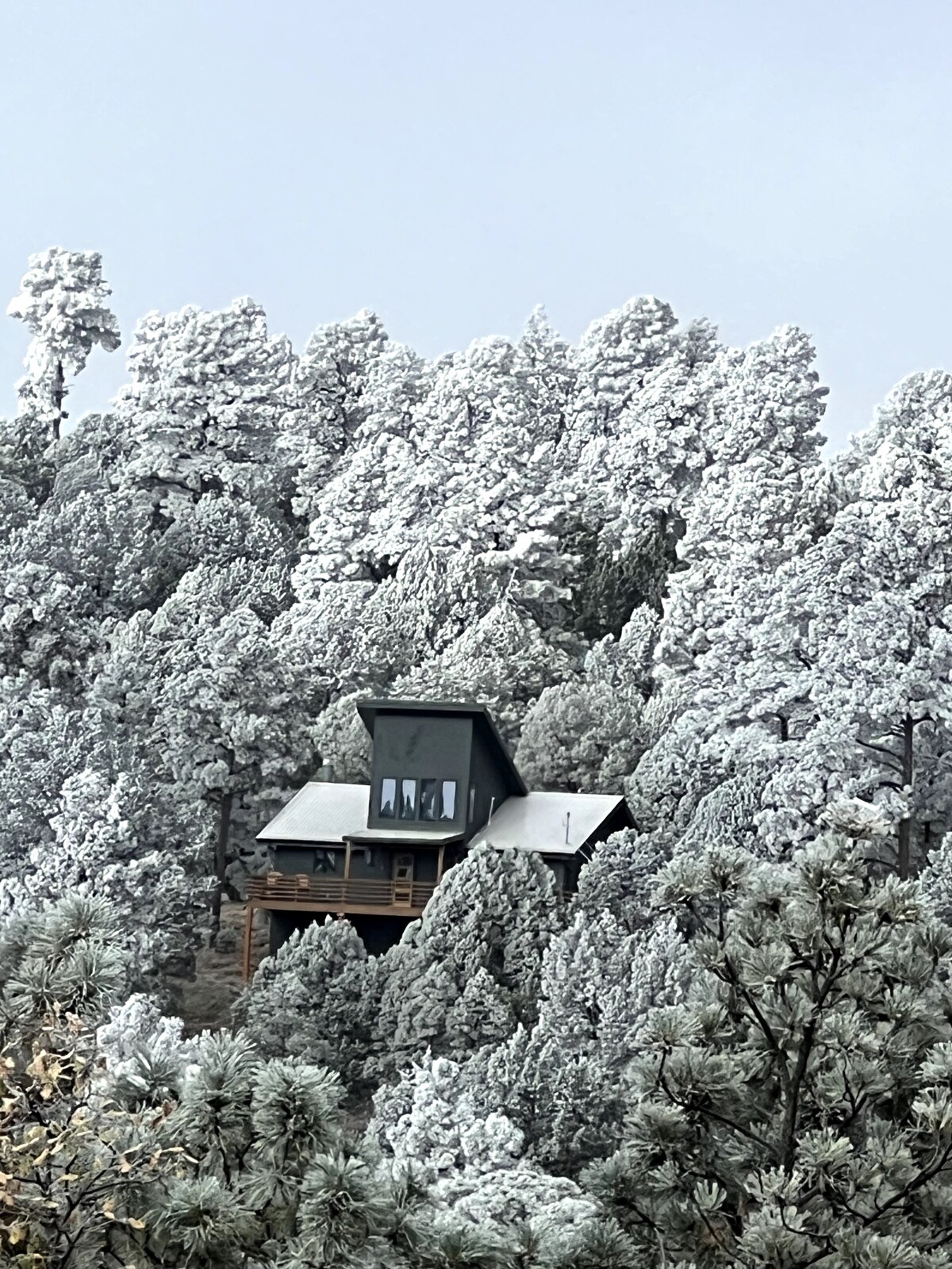 A cabin sits nestled among snow-covered trees, its dark exterior contrasting with the frost-covered landscape. Tall pines surround the structure, creating a serene and secluded atmosphere. The roof collects light snowfall, blending the cabin harmoniously into the winter scenery.