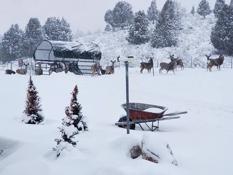 Lava Hot Springs Country Stay